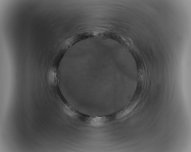 X0000116480527200912161254