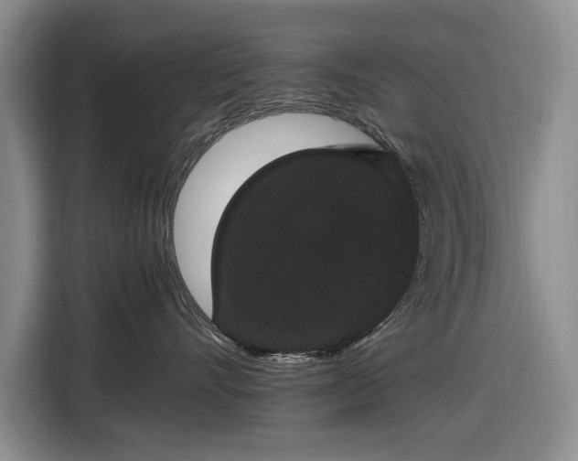 X0000116480528200912161254