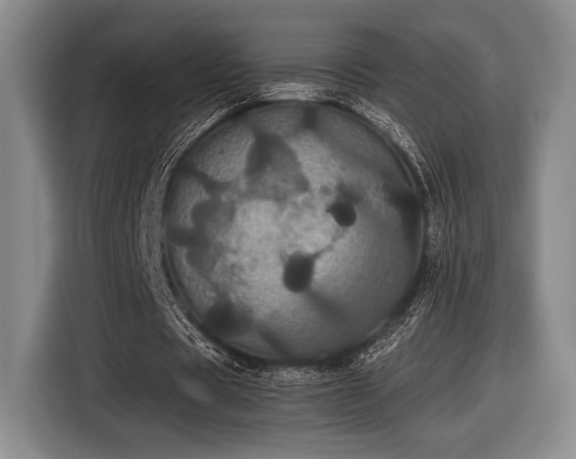 X0000116480529200912161254