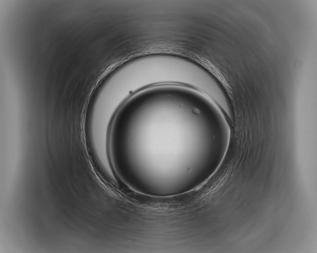 X0000116480530200912161254