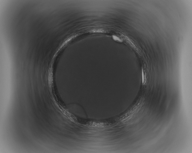 X0000116480531200912161254