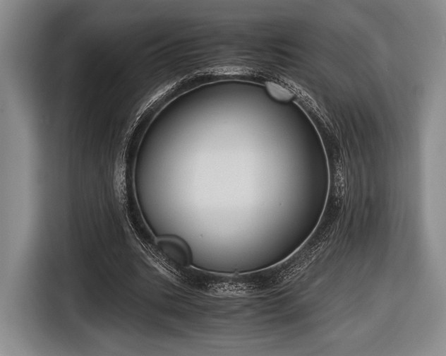 X0000116480535200912161254