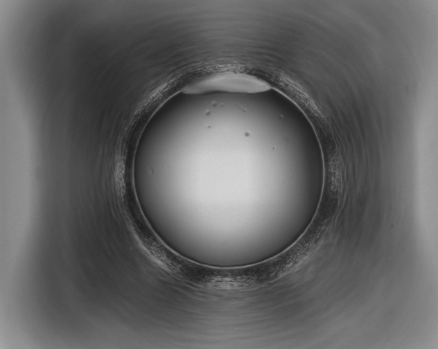 X0000116480538200912161254