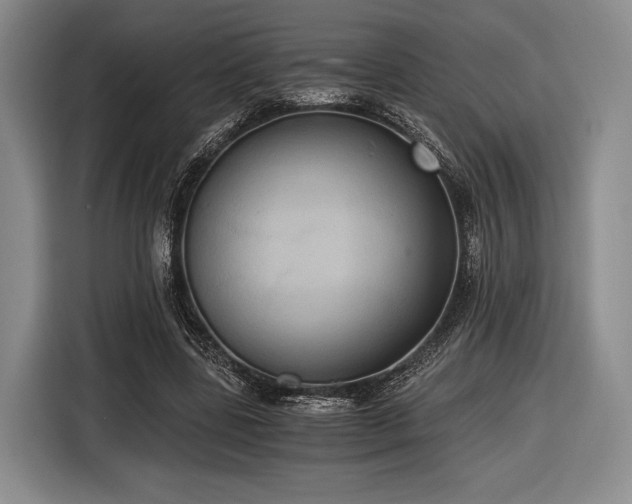 X0000116480539200912161254