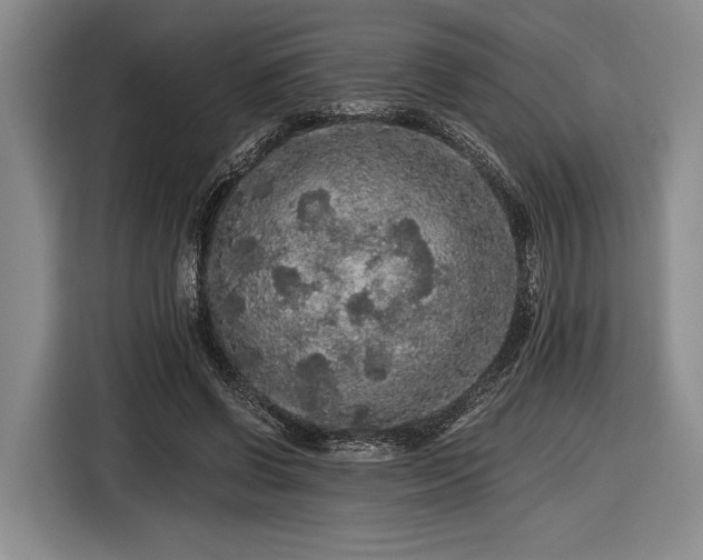 X0000116480542200912161254