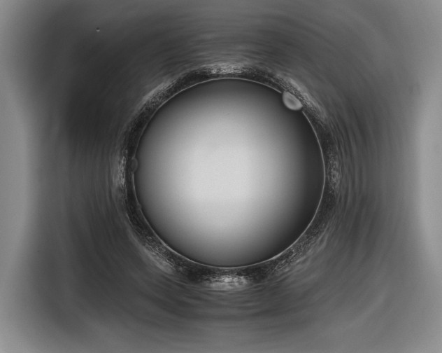 X0000116480543200912161254