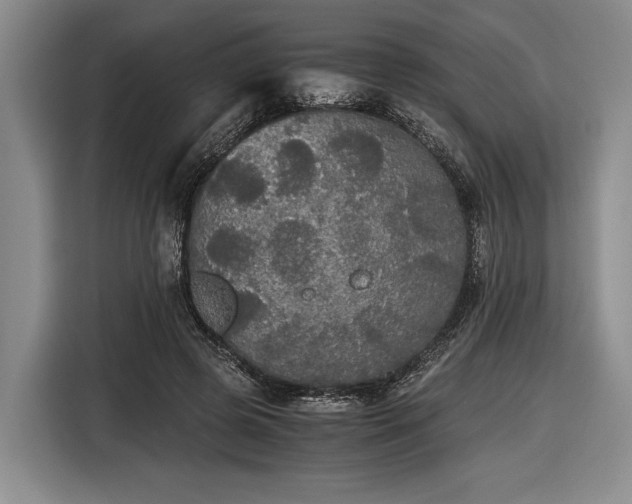 X0000116480545200912161254