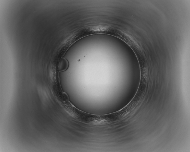 X0000116480547200912161254