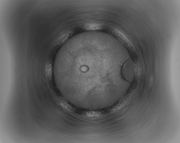 X0000116480549200912161254