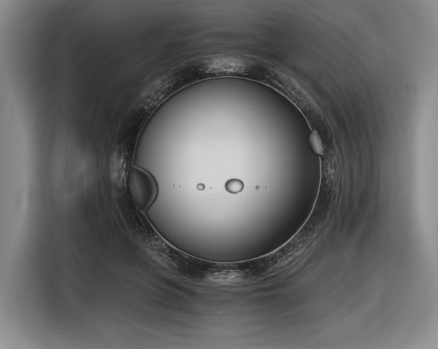 X0000116480551200912161254