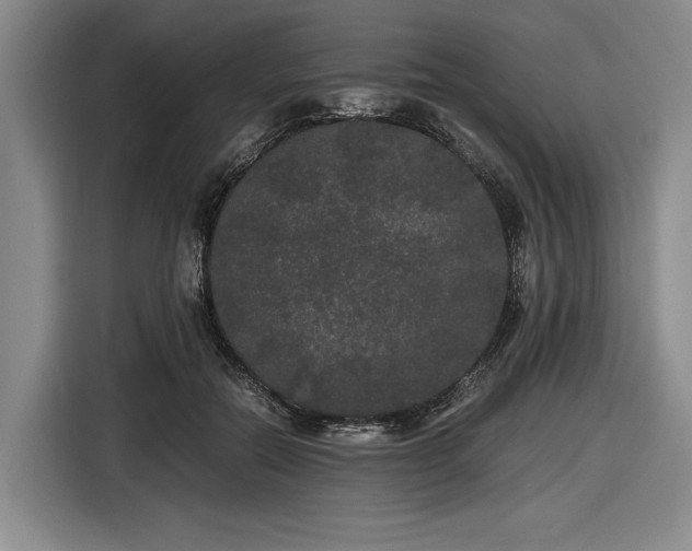 X0000116480554200912161254