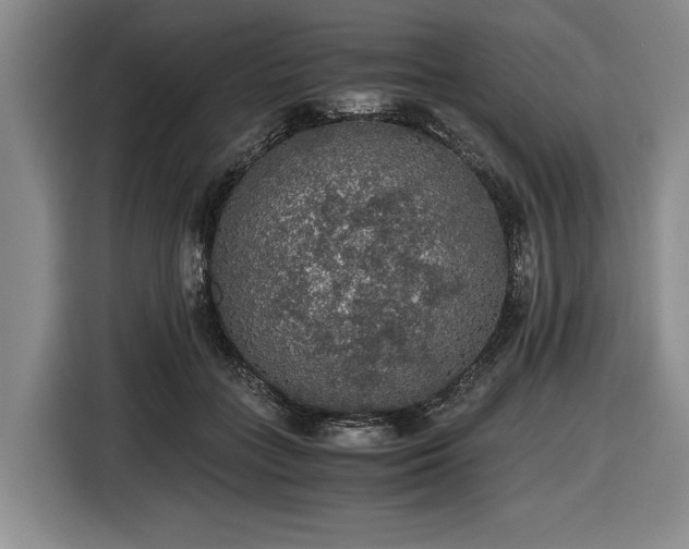 X0000116480555200912161254