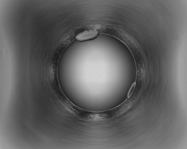 X0000116480558200912161254