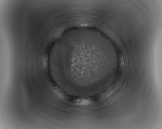 X0000116480559200912161254