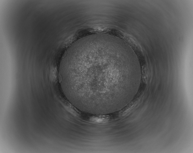 X0000116480563200912161254