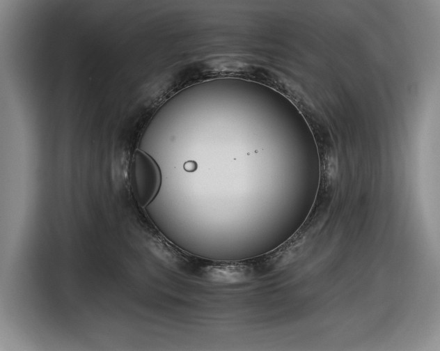 X0000116480567200912161254