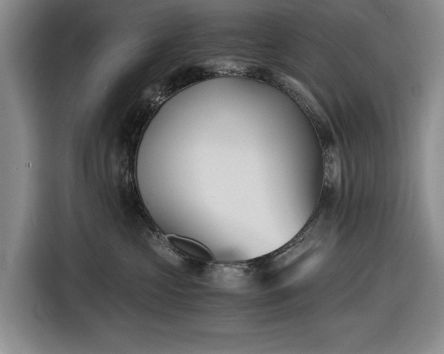 X0000116480573200912161254