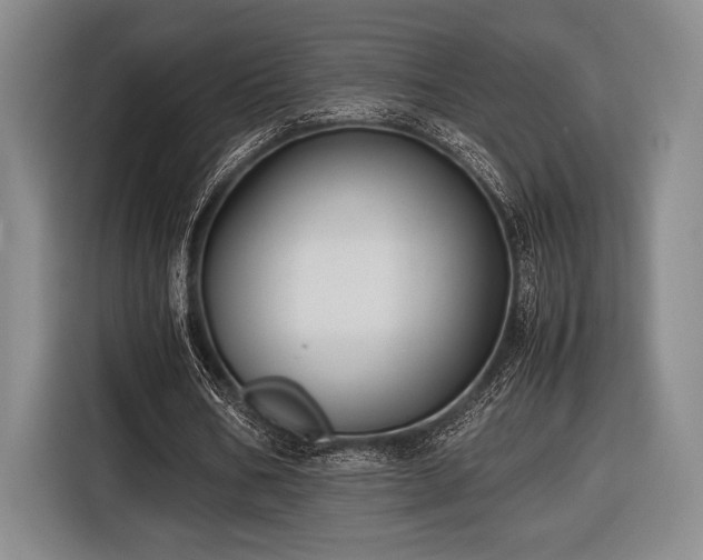 X0000116480578200912161254