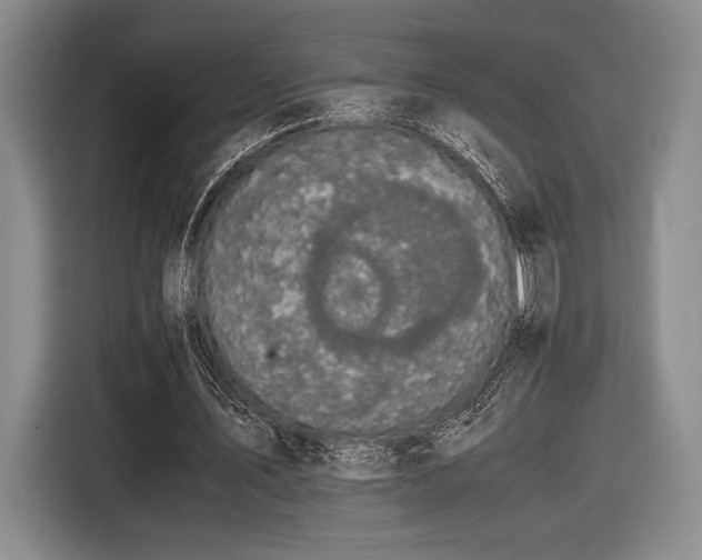 X0000116480579200912161254