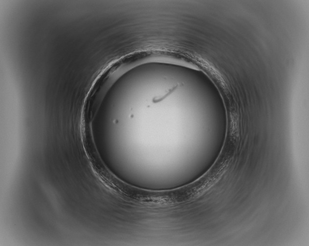 X0000116480580200912161254