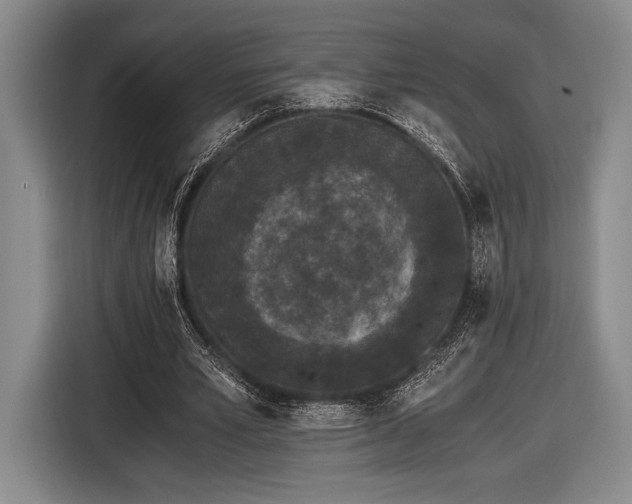 X0000116480581200912161254