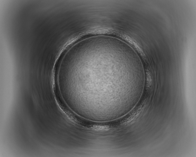 X0000116480582200912161254