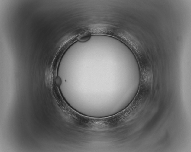 X0000116480583200912161254