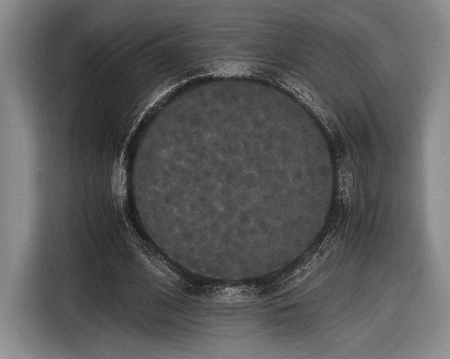 X0000116480584200912161254