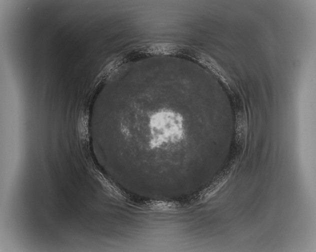 X0000116480585200912161254