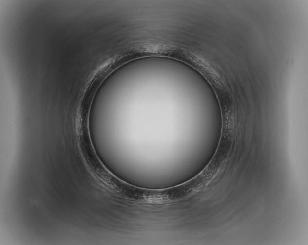 X0000116480587200912161254