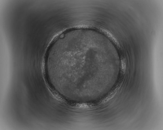 X0000116480588200912161254