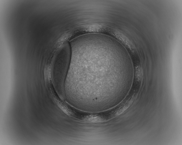 X0000116480589200912161254