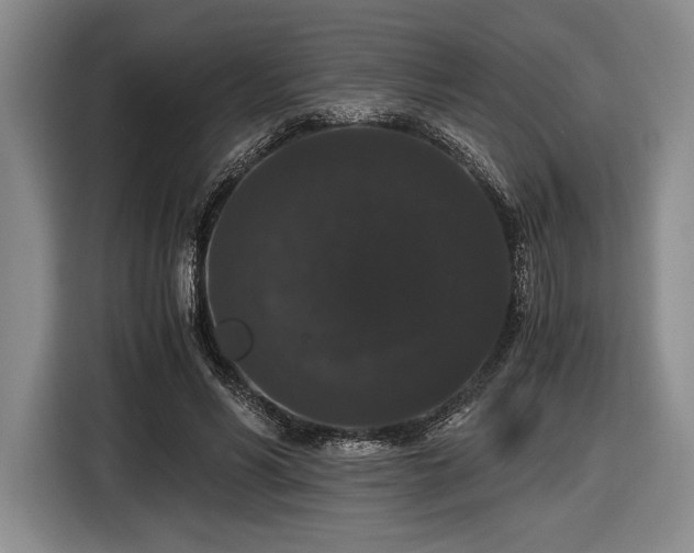 X0000116480590200912161254