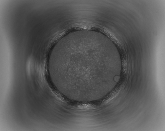 X0000116480594200912161254