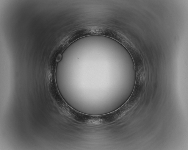 X0000116480595200912161254