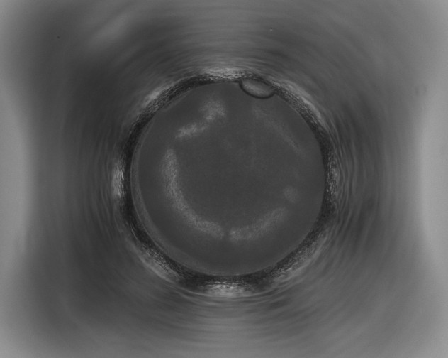 X0000116480596200912161254