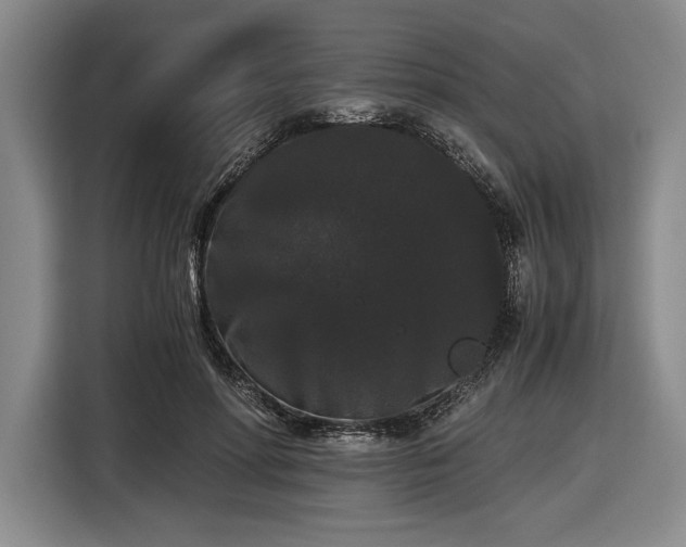 X0000116480598200912161254