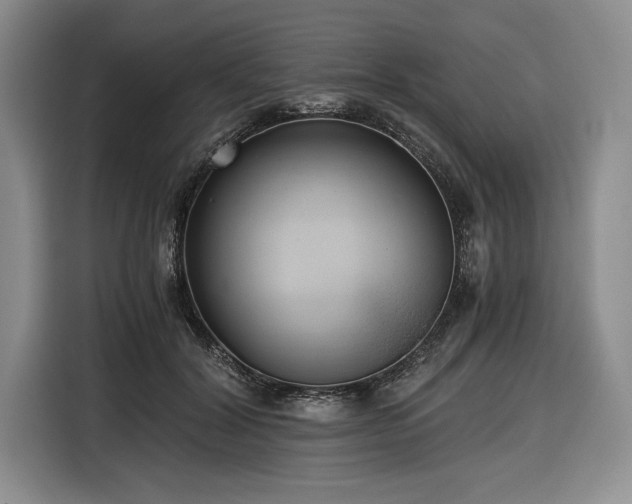 X0000116480604200912161253