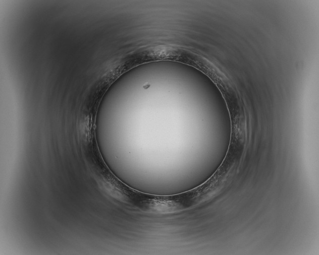 X0000116480605200912161253