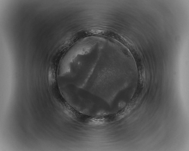 X0000116480606200912161253