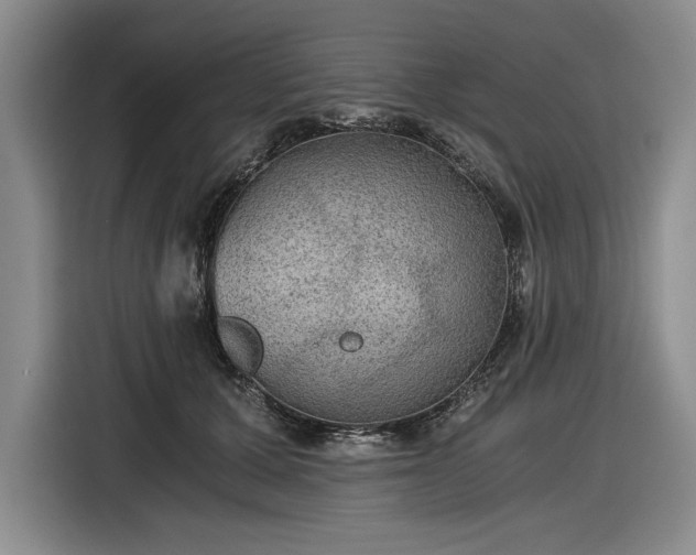 X0000116480607200912161253