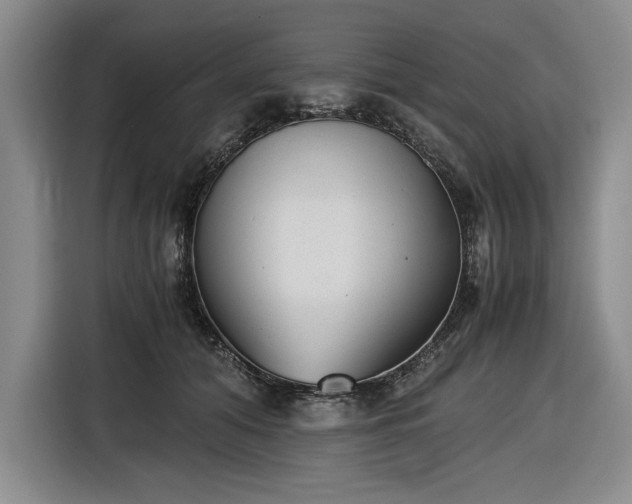 X0000116480608200912161253