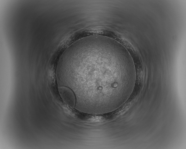 X0000116480609200912161253