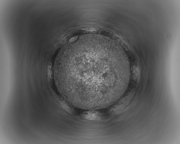 X0000116480612200912161253