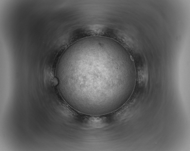 X0000116480613200912161253