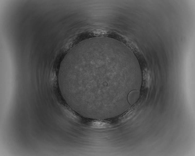 X0000116480614200912161253