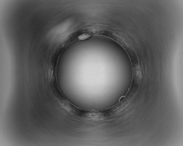 X0000116480615200912161253