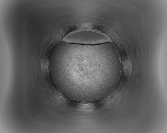 X0000116480617200912161253