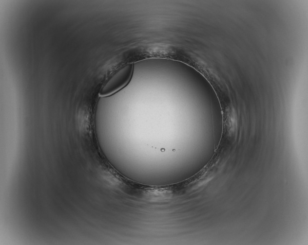 X0000116480619200912161253