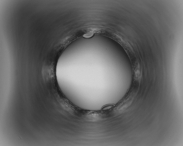 X0000116480620200912161253